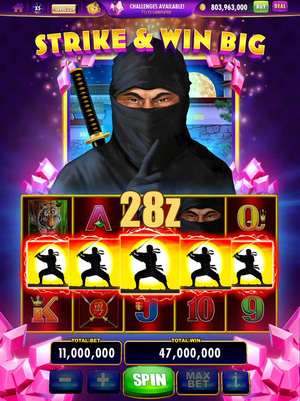 28z Login