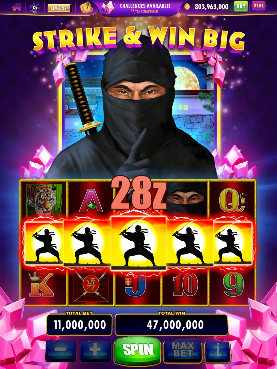28z Login